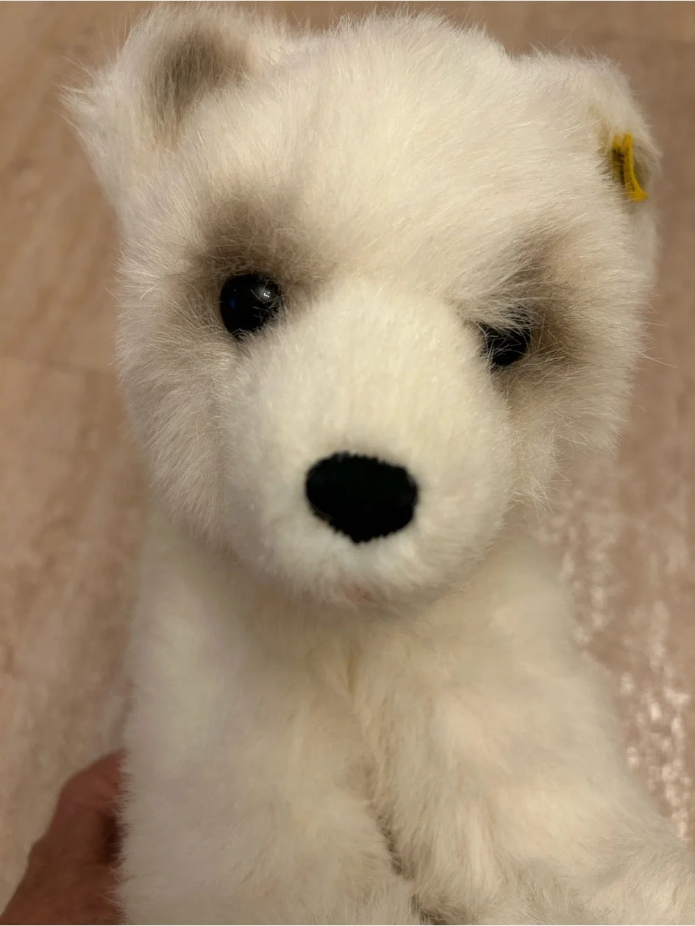 Vintage Steiff Cozy Issy Polar Bear Plush Tag Earred Button 0437/23 7 1/2”